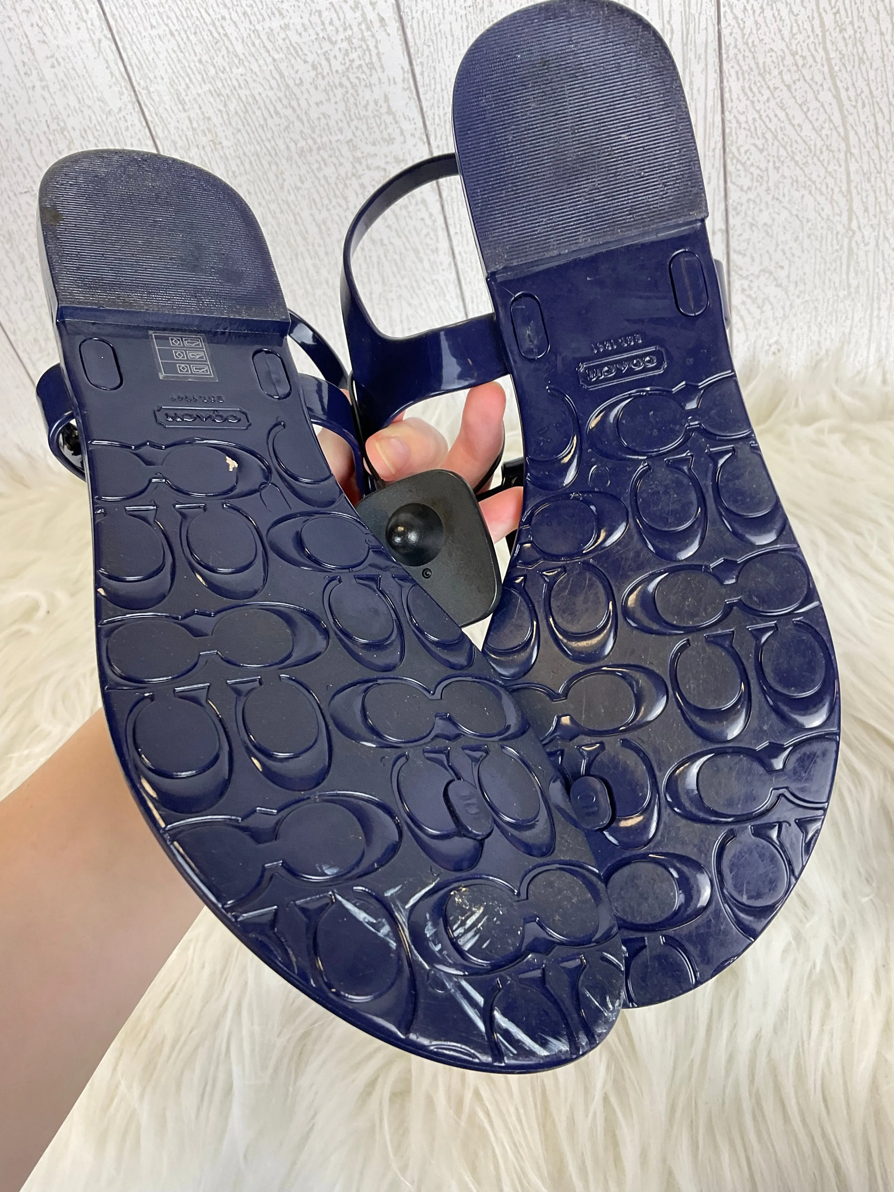 Blue Sandals Designer Coach, Size 10