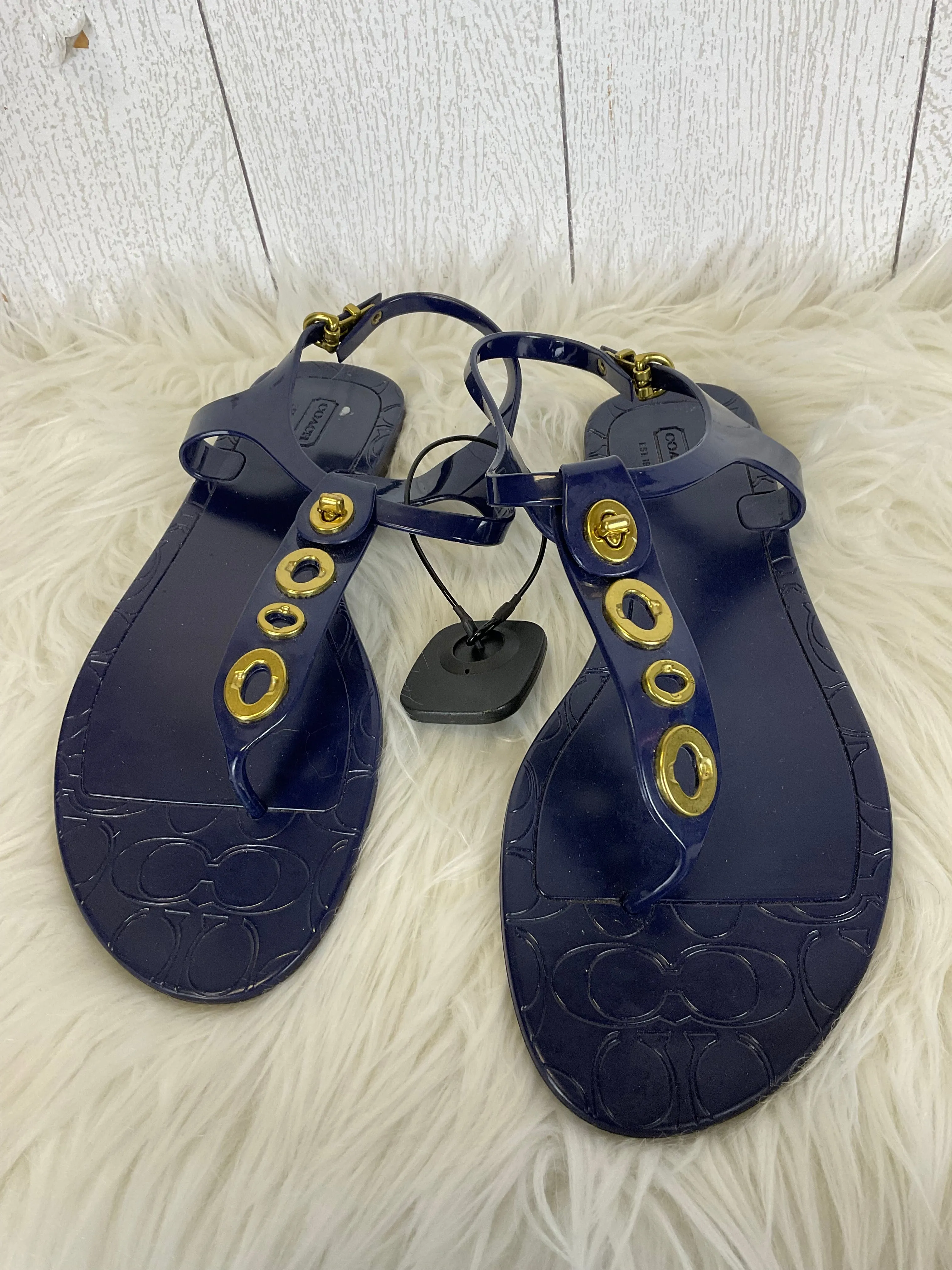 Blue Sandals Designer Coach, Size 10